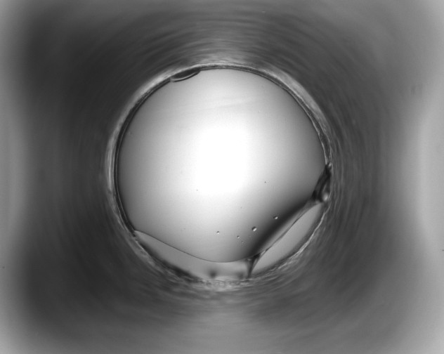 X0000087641246200705311320