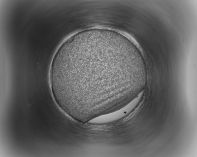 X0000087641247200705311320