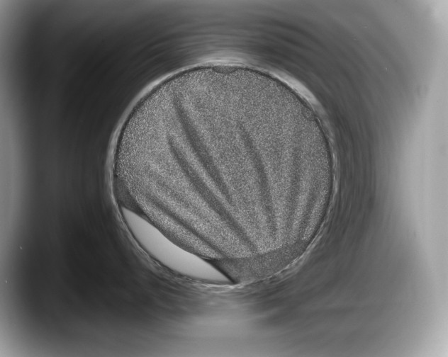 X0000087641248200705311320