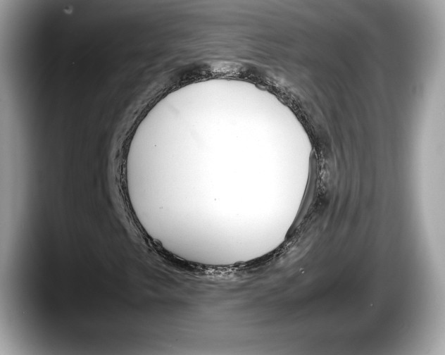 X0000087641249200705311320