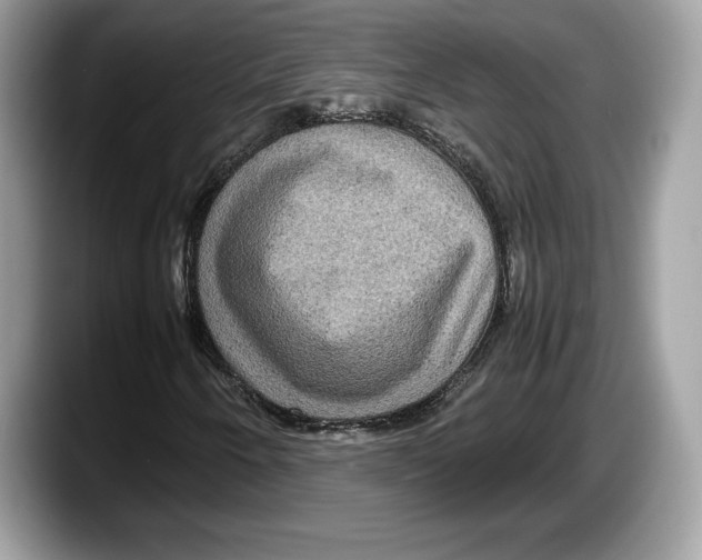 X0000087641250200705311320