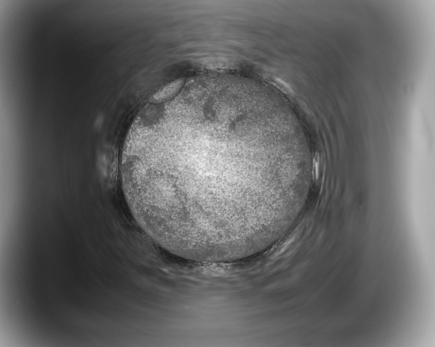 X0000087641251200705311320