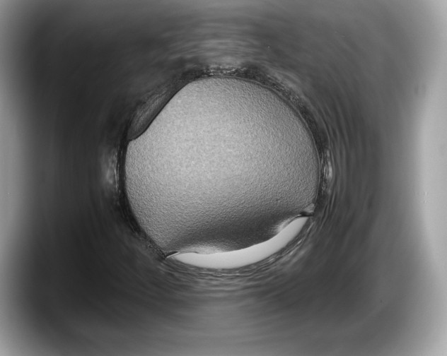 X0000087641252200705311320