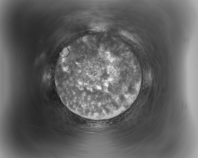 X0000087641254200705311320