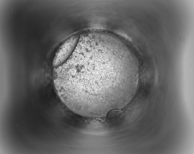 X0000087641255200705311320