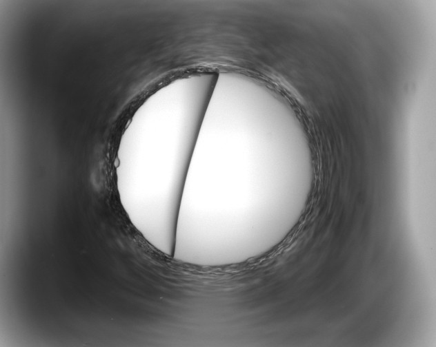 X0000087641256200705311320