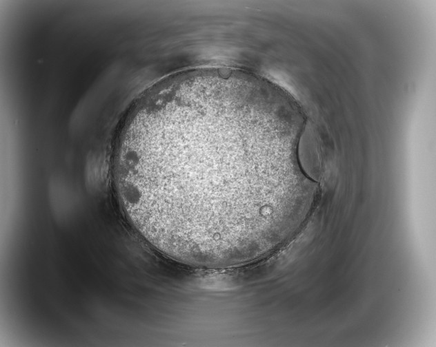 X0000087641259200705311320