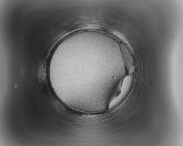 X0000087641260200705311320