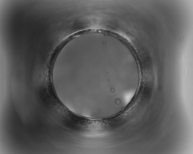 X0000087641263200705311320