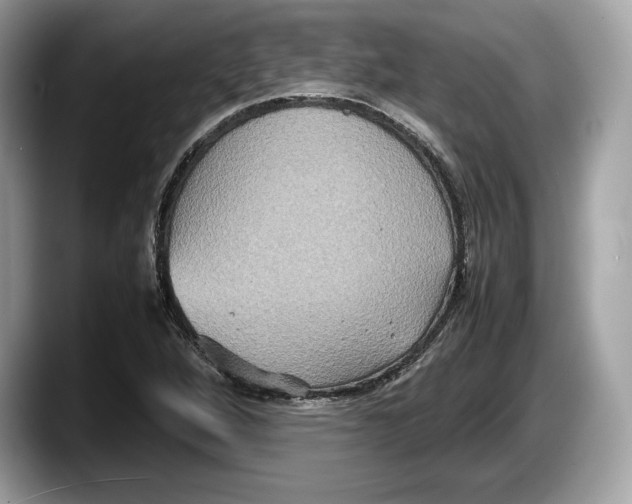 X0000087641264200705311320