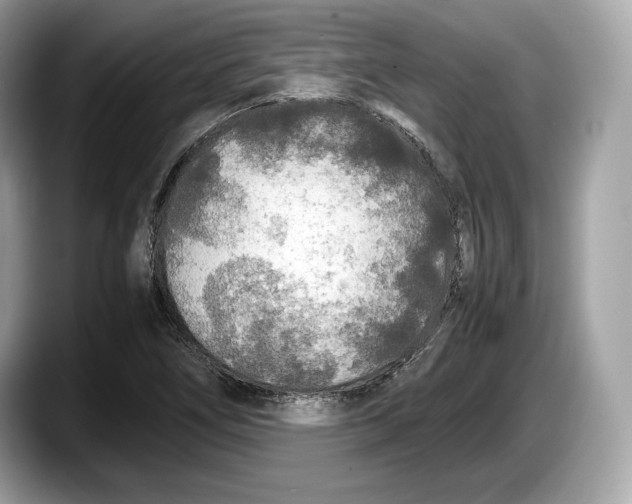 X0000087641266200705311320