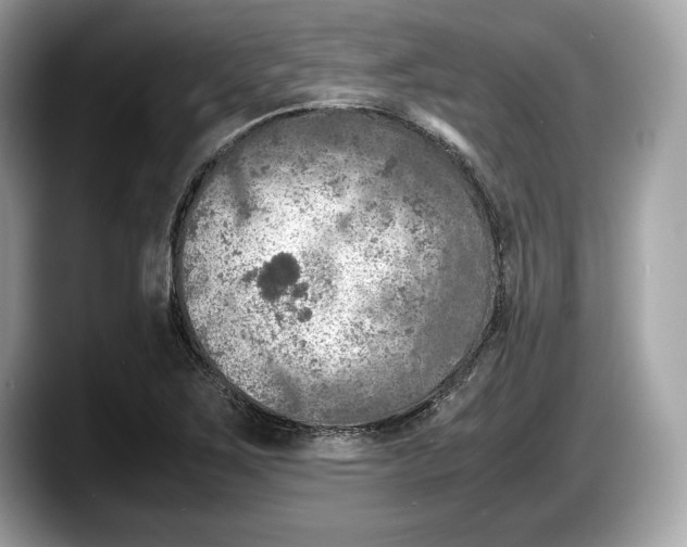 X0000087641267200705311320