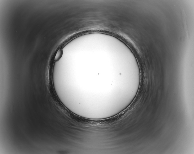 X0000087641270200705311320