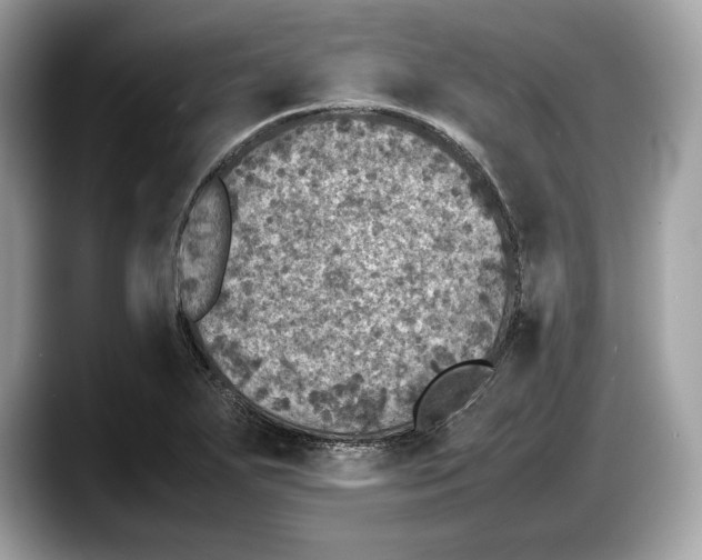 X0000087641271200705311320