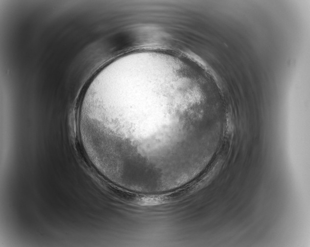 X0000087641274200705311320