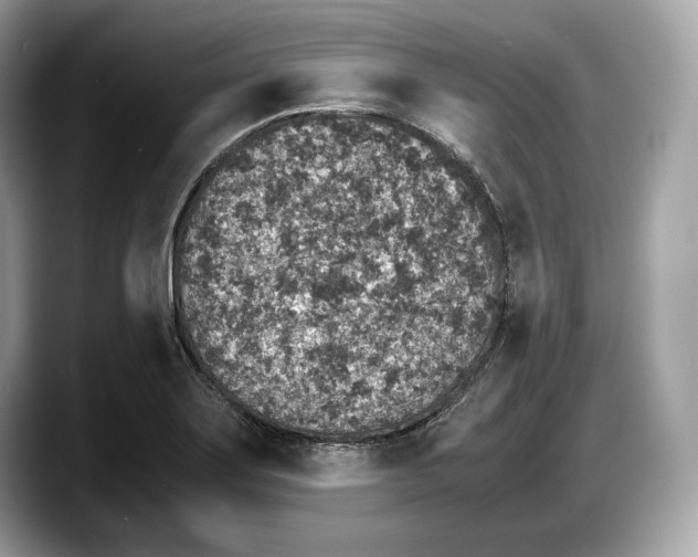 X0000087641275200705311320