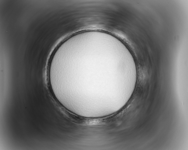 X0000087641278200705311320