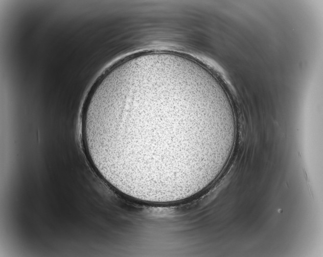 X0000087641280200705311320