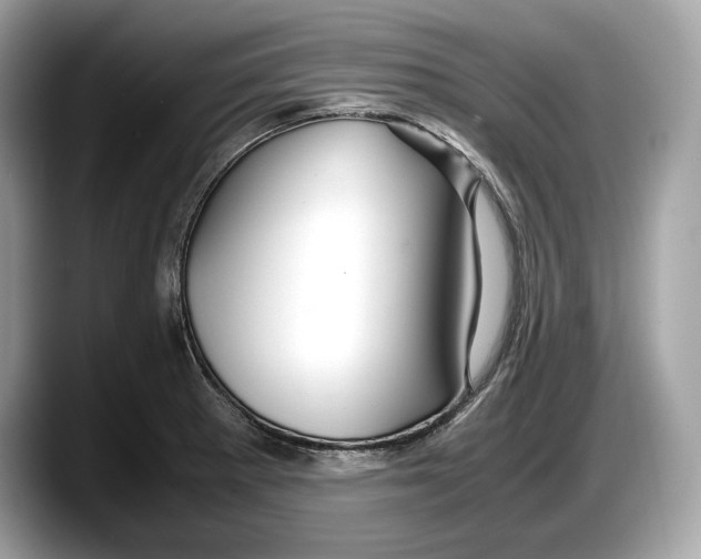 X0000087641281200705311320