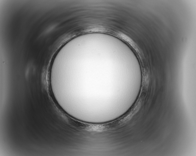 X0000087641282200705311320