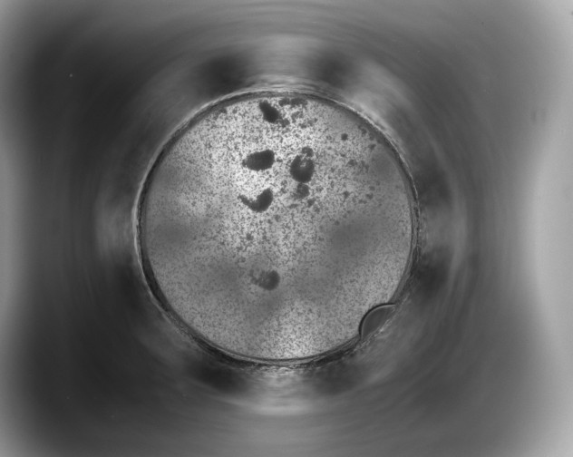 X0000087641283200705311320