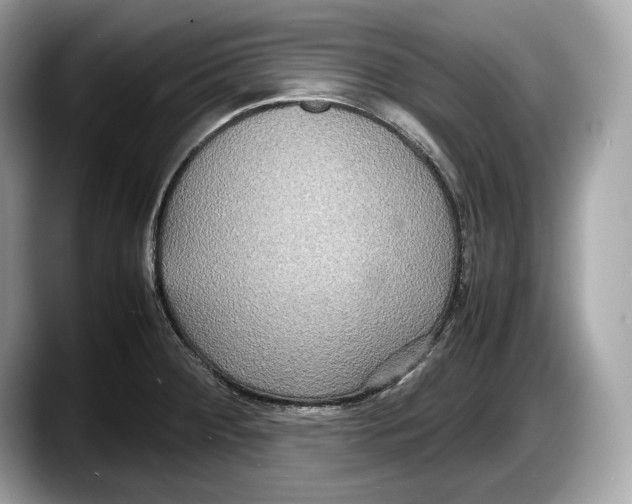 X0000087641284200705311320