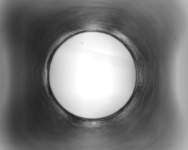 X0000087641286200705311319