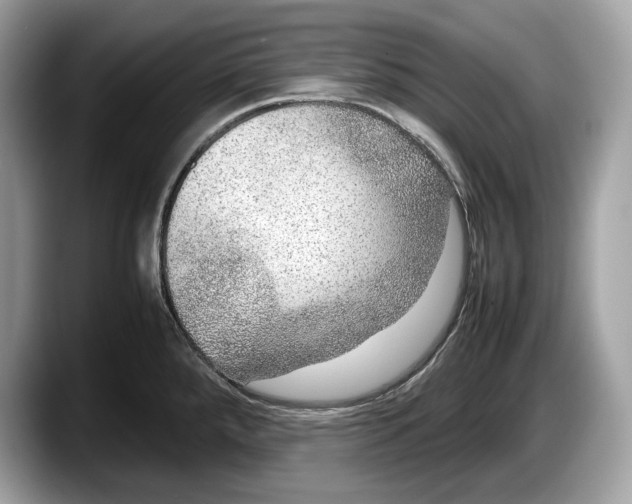 X0000087641288200705311319