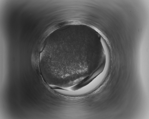 X0000087641289200705311319