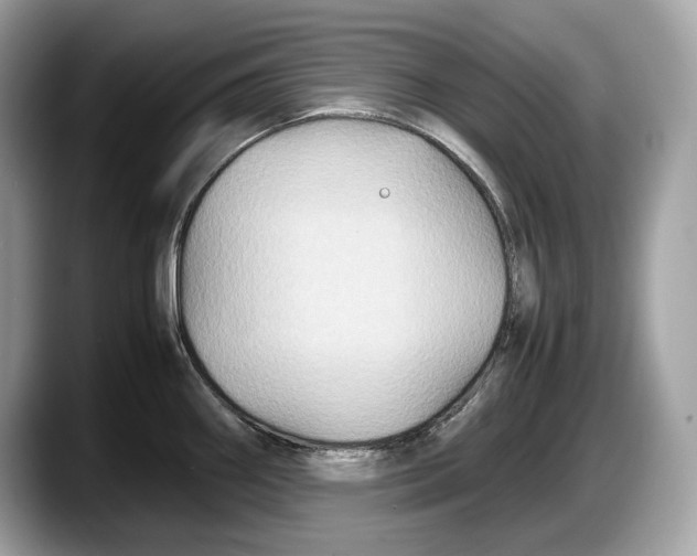 X0000087641290200705311319