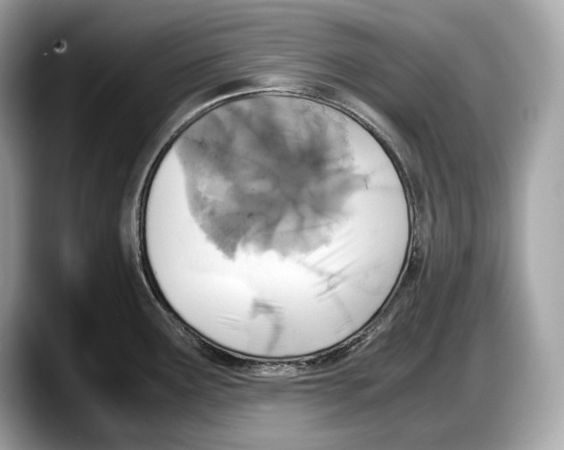 X0000087641291200705311319