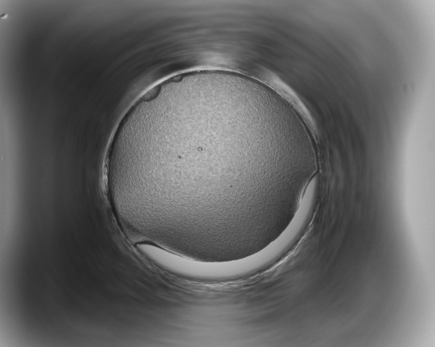 X0000087641292200705311319