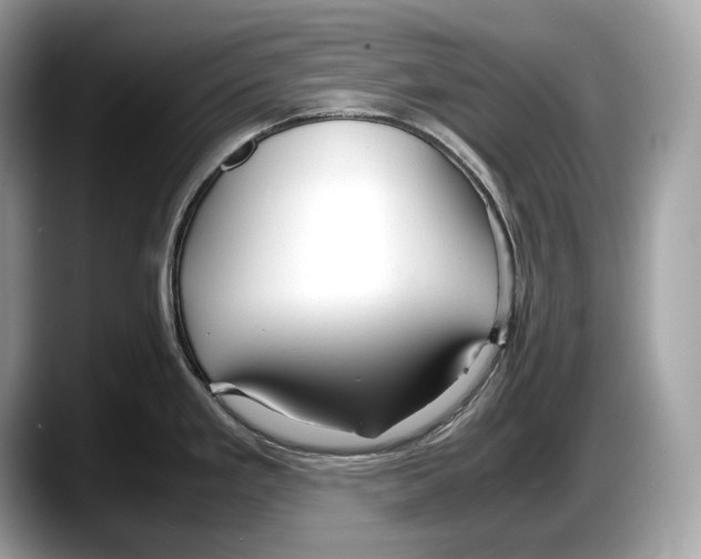 X0000087641293200705311319