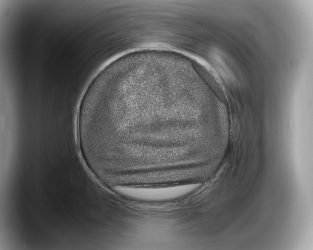 X0000087641295200705311319