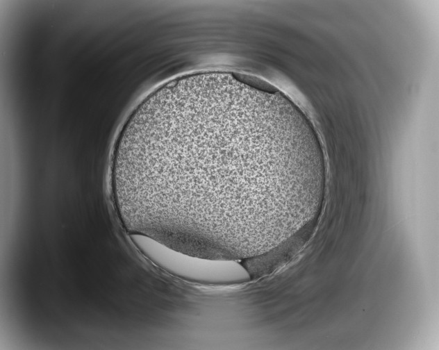 X0000087641296200705311319