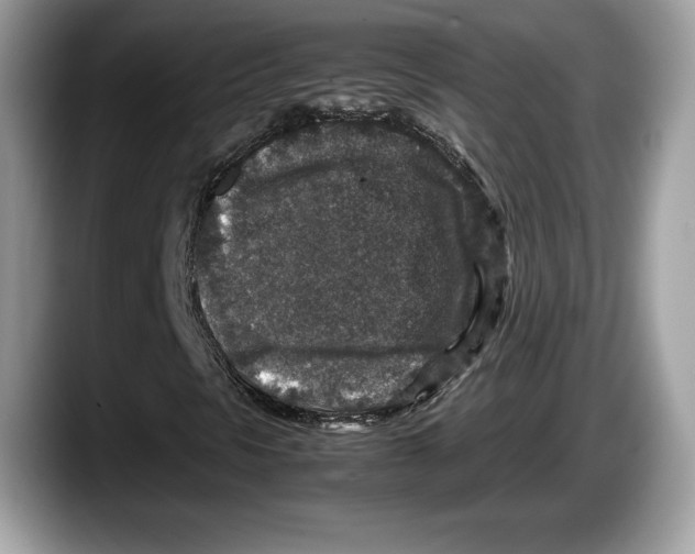 X0000087641297200705311319