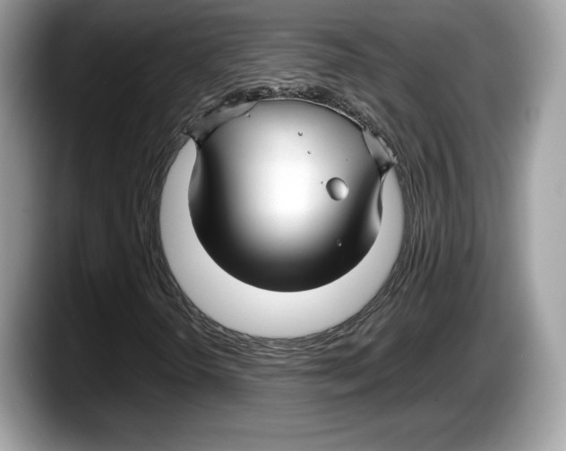 X0000087641298200705311319