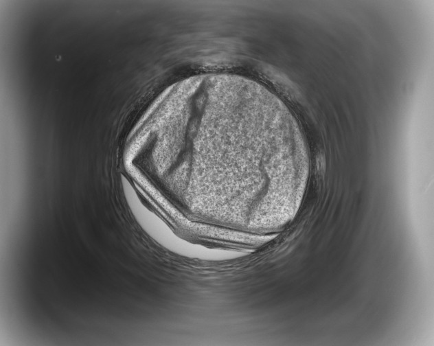 X0000087641300200705311319