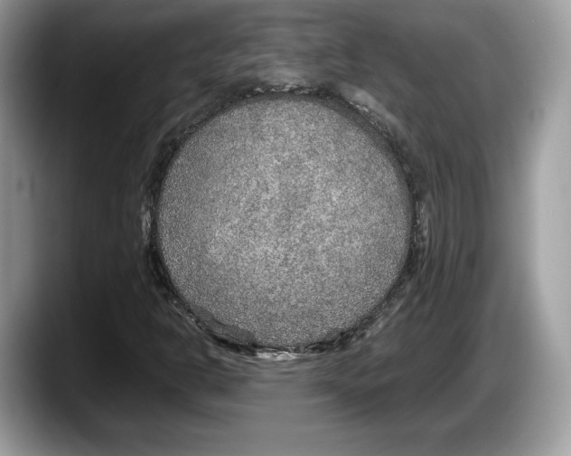 X0000087641302200705311319