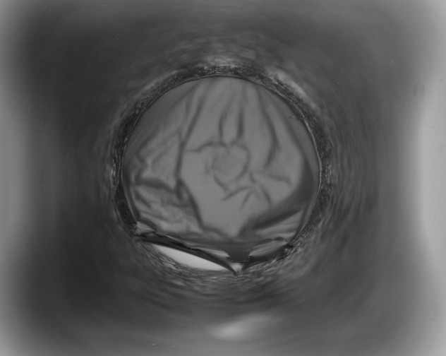 X0000087641303200705311319