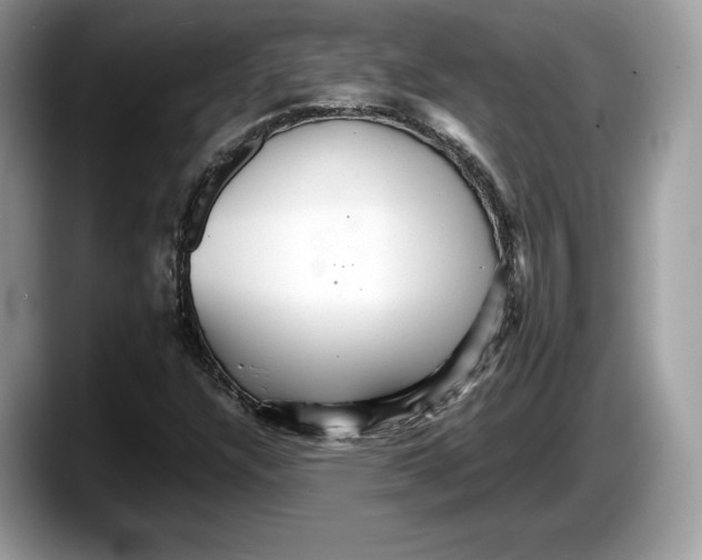 X0000087641304200705311319