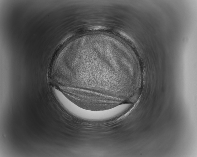 X0000087641305200705311319