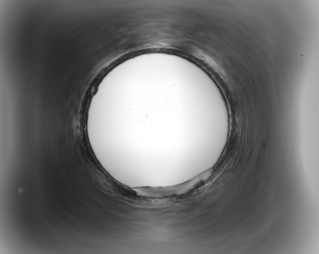 X0000087641308200705311319