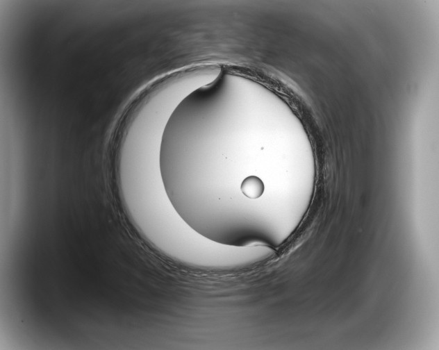 X0000087641310200705311319