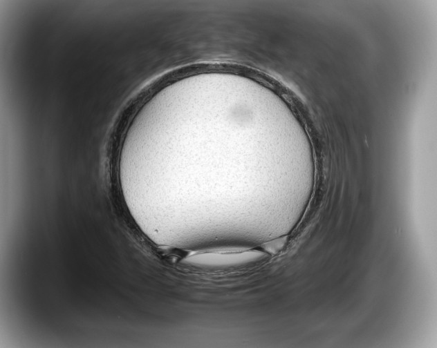 X0000087641311200705311319