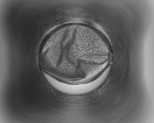 X0000087641312200705311319