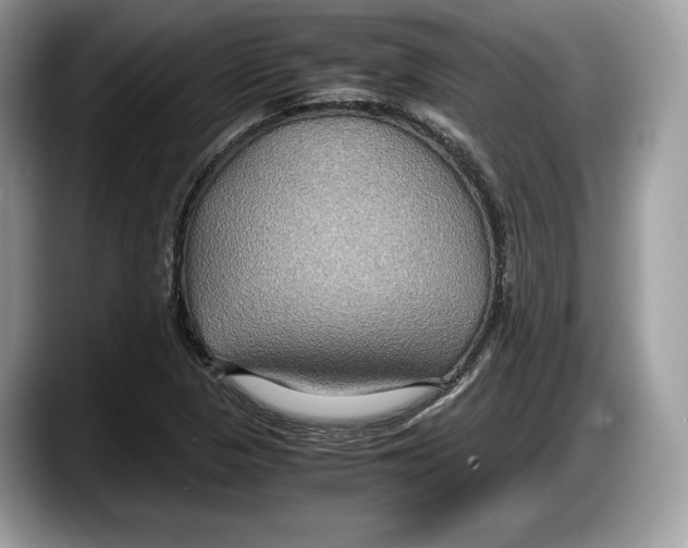 X0000087641313200705311319