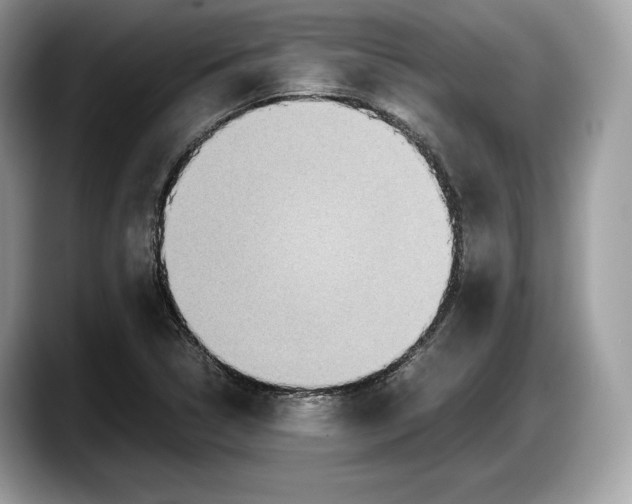 X0000087641314200705311319