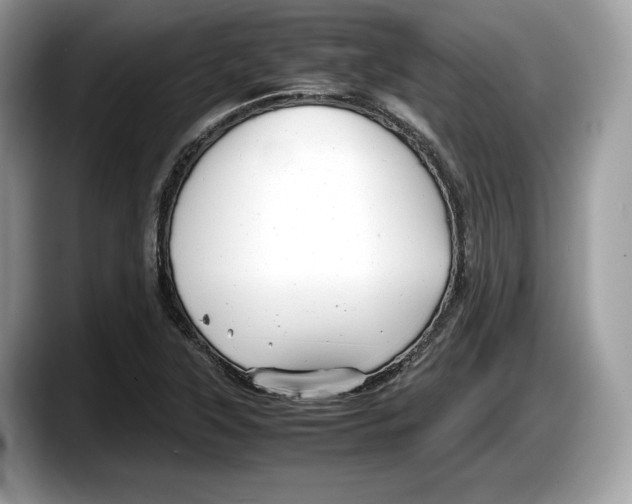 X0000087641315200705311319