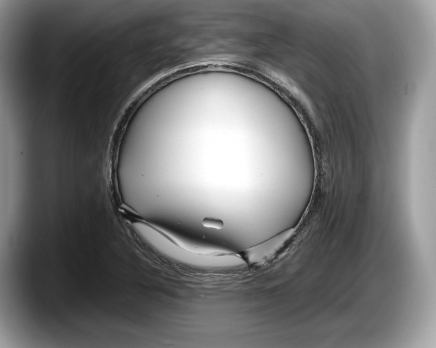 X0000087641316200705311319